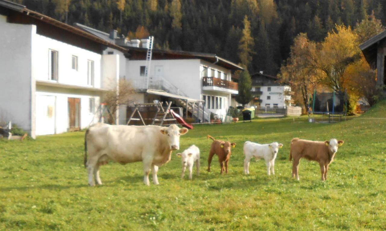 Ferienhaus Dankl 胡勒斯巴赫平 外观 照片